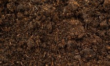 METCHAR Well Rotted Pure Horse